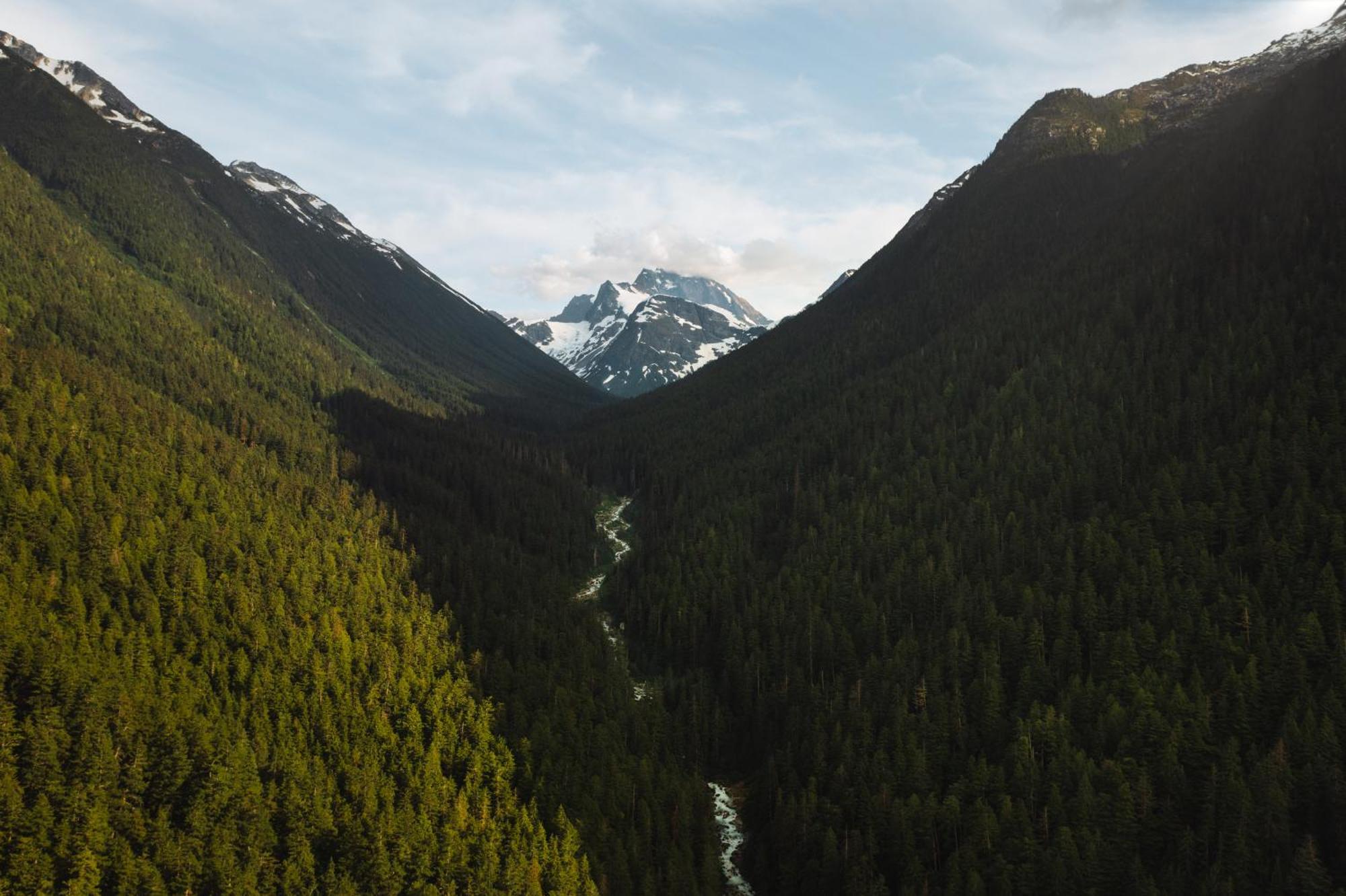 Bella Coola Grizzly Tours And Resort Hagensborg Exterior photo